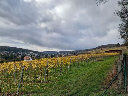 Fotografie z W B MA na trase