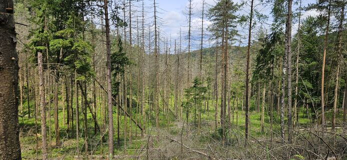 Foto von Andreas Henning entlang der Tour