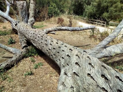 Fotó a G.A. honlapról a túra során