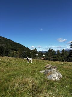 Fotografija s spletne strani Lena De Roeck na poti