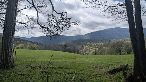 Foto von Jele Hannes entlang der Tour