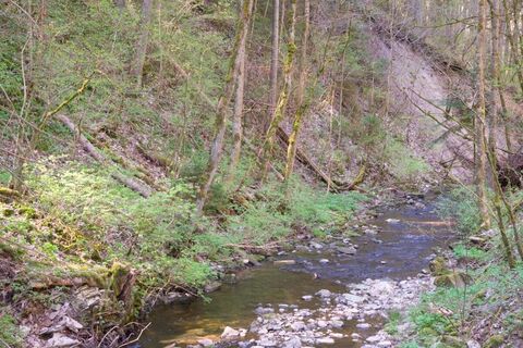 Obere Gauchach