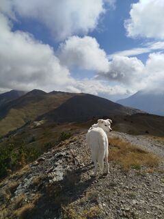 Photo de Miriam Laganella le long du parcours
