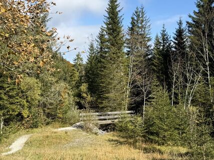 Foto von Norbert Herbig entlang der Tour