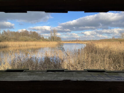 Blick auf das Naturschutzgebiet Kranenburg