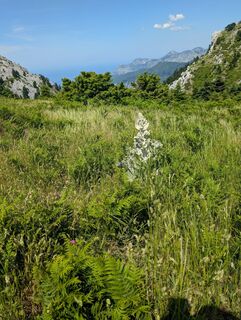 Photo de Basiswissen Leben le long du parcours
