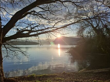 Fotografija s spletne strani Maurer Silvia na poti