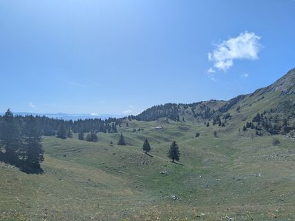 Fotografija s spletne strani mtmc na poti