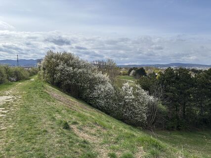 Foto de Ekhard Oberleitner a lo largo del recorrido
