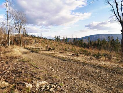 Fotografija s spletne strani Romek Dwornik na poti