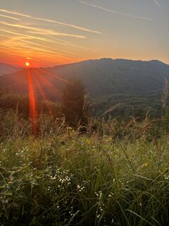 Fotografie z Viktoria Kölblinger na trase