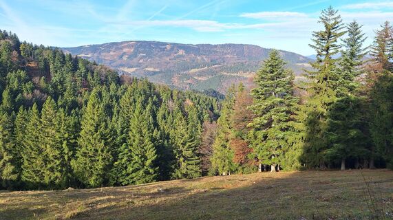 Фото с сайта Regina Fleischmann во время экскурсии