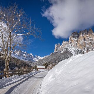 Muncion - Soal - Gardeccia ©Archivio APT Val di Fassa