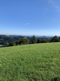 Fotografia z AJ na trase