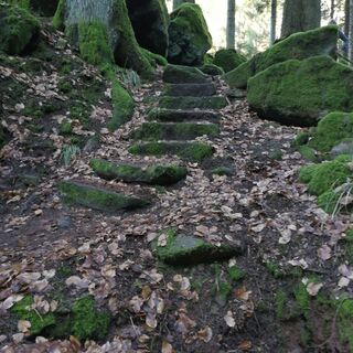 Stufen entlang des Trails
