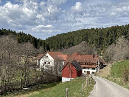 Photo de Tyx De le long du parcours