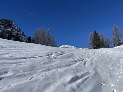 Zdjęcie z Thomas Piesinger wzdłuż trasy