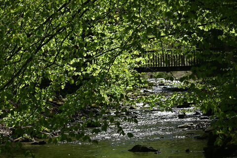 Elpebach in Ostwig