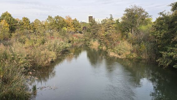 Zdjęcie z Hieu Duc Tram wzdłuż trasy