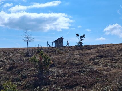 Foto von erich1207 entlang der Tour