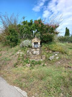 Foto från Tamás Kiss (Mr. Mojo) under resans gång