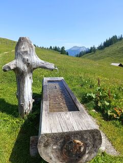 Foto von Meli entlang der Tour