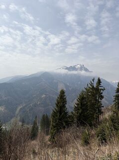 Fotografia z Mandy Friedrich na trase