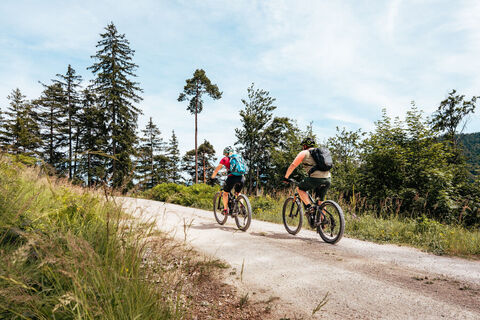 Mountainbikestrecke durch 2 Nationalparks