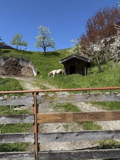 Photo de Melánia Meli le long du parcours