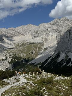 Fotografija s spletne strani Fabio na poti