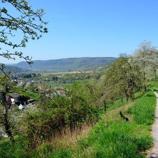 Nordic Walking, Freudenberg