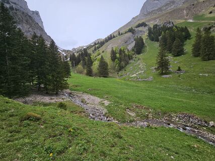 Fotografia z Jürgen Peters 1 na trase
