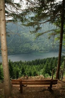 Ausblick vom Seeblickbankerl
