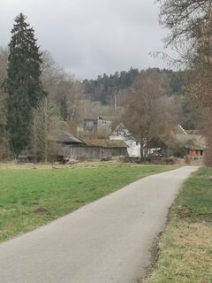 Foto von Waldläufer entlang der Tour