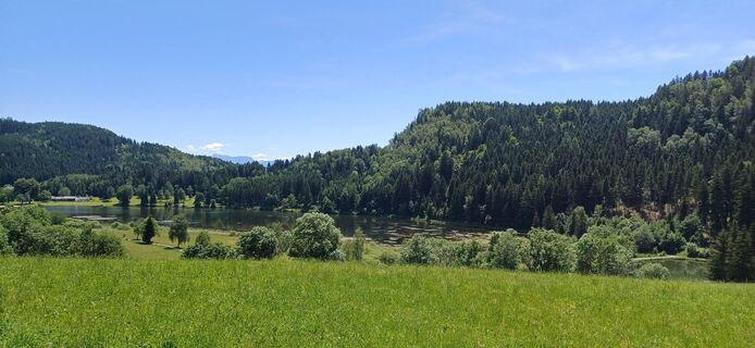 Photo de Thomas Michalek 1 le long du parcours
