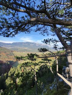 Фото с сайта Heinz Weber in во время экскурсии