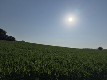 Photo de Schaali le long du parcours