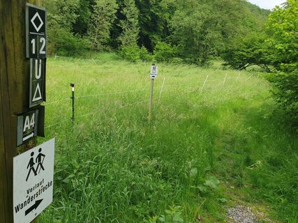 Ennepetal_Behlinger Weg