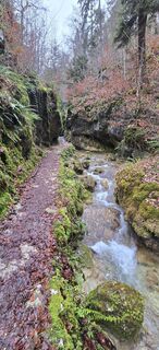 Photo de Zèé le long du parcours