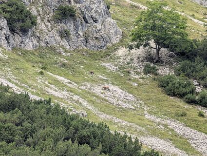 Foto de Arne Schlieder a lo largo del recorrido