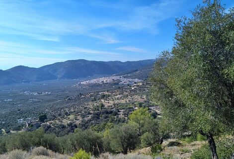 Photo de Platon le long du parcours