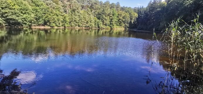 Foto von hob2020 entlang der Tour