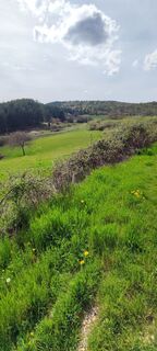 Photo de Franco Bini le long du parcours