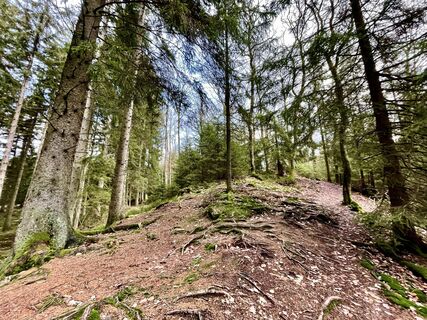 Foto von Les aventures de Ghislain entlang der Tour
