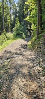 Foto von Michael Rudorfer entlang der Tour