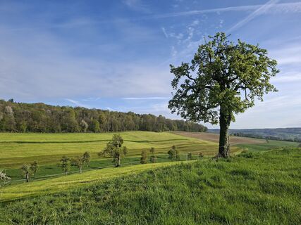 Fotografie z Yolanda de na trase