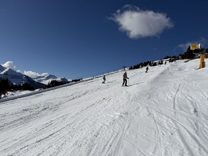 Fotografija s spletne strani Bahram Boueshaghi na poti