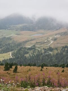 Foto von Schabsi entlang der Tour