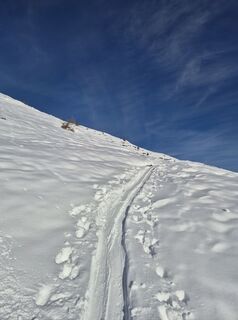 Fotografija s spletne strani Arnulf Müller na poti