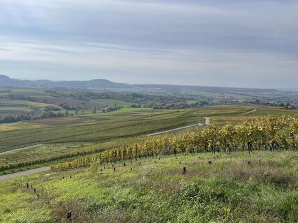 Fotografie de la Ralf Umminger de-a lungul turului